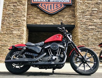 New 2019 Harley-Davidson® Sportster® Iron 883™