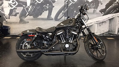 New 2019 Harley-Davidson® Sportster® Iron 883™