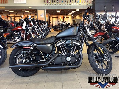 New 2019 Harley-Davidson® Sportster® Iron 883™