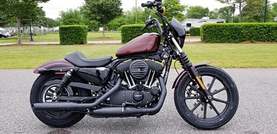 New 2019 Harley-Davidson® Sportster® Iron 1200™