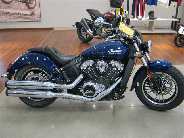 2021 Indian® Motorcycle Scout (Blue), Peoria, Illinois (1064815