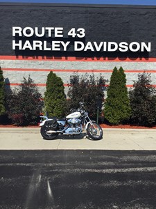 Used 2004 Harley-Davidson® Sportster® 1200 Custom