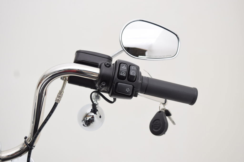 Softail® Standard