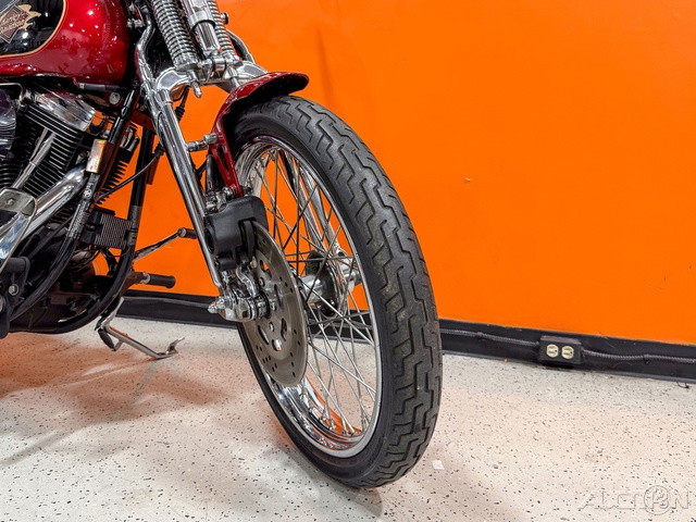 Springer® Softail®