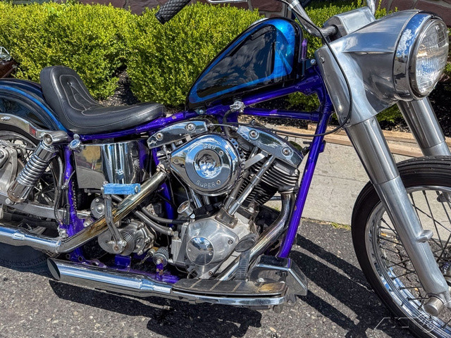 Electra Glide® Police