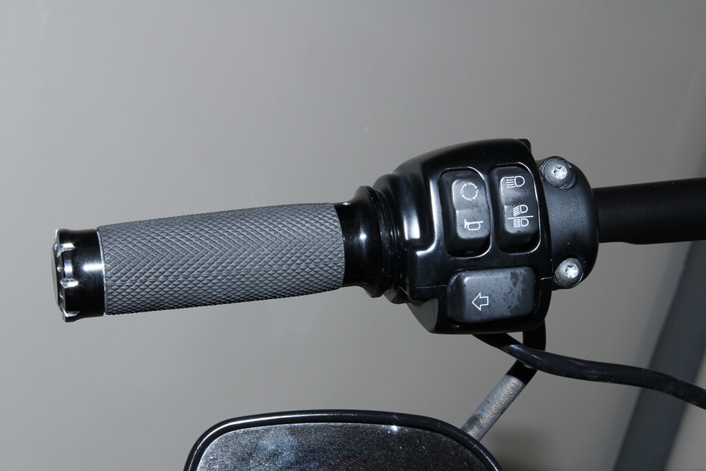 Sportster® Forty-Eight®