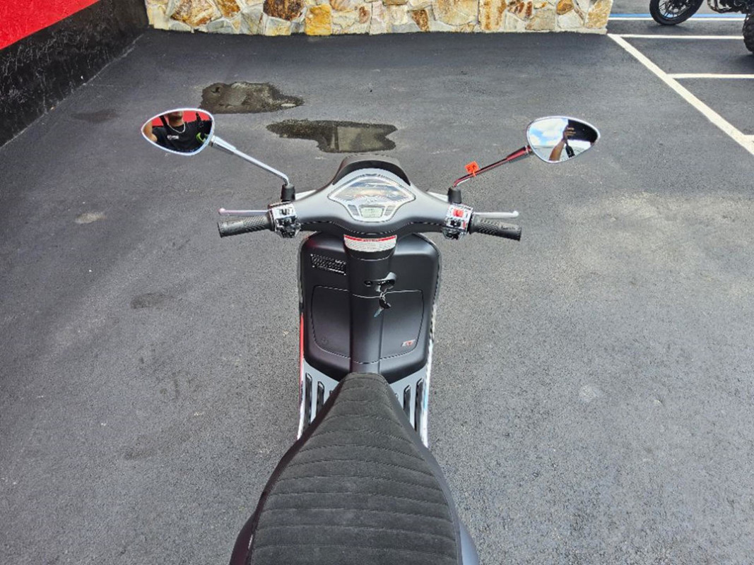Primavera 50