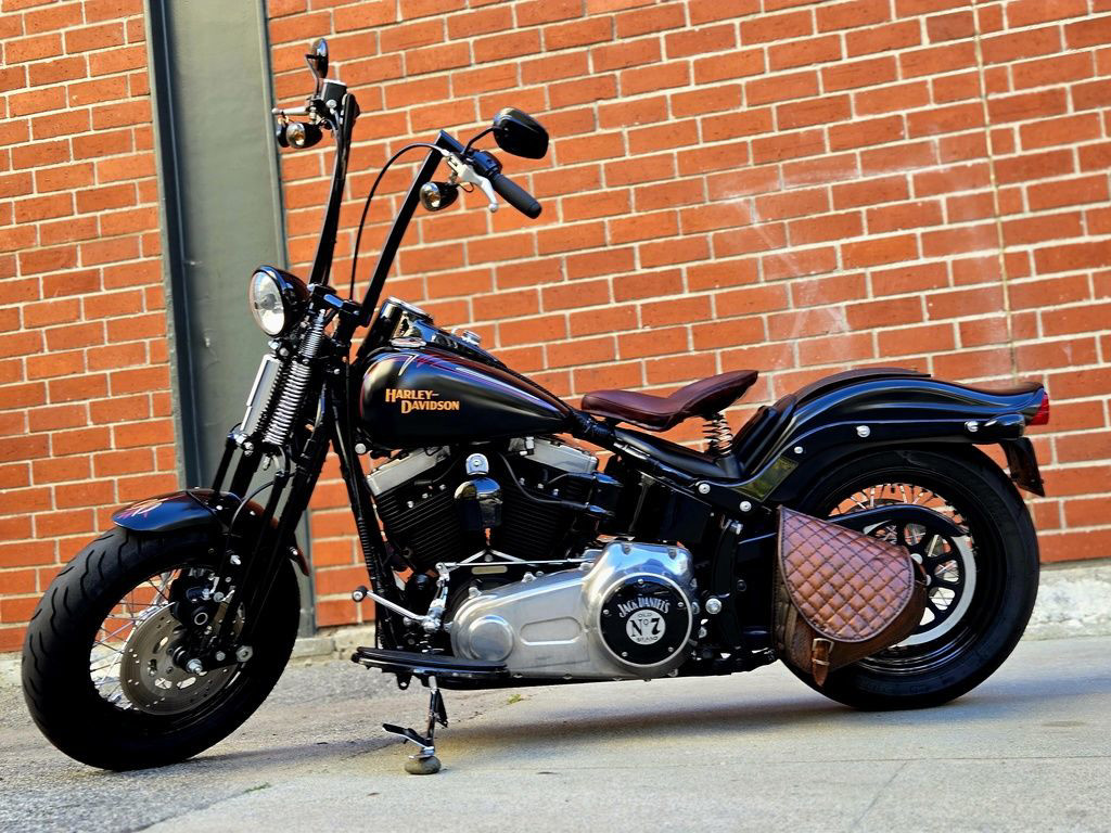 Softail® Cross Bones®