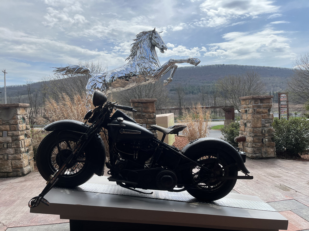 Special Sport Solo Knucklehead