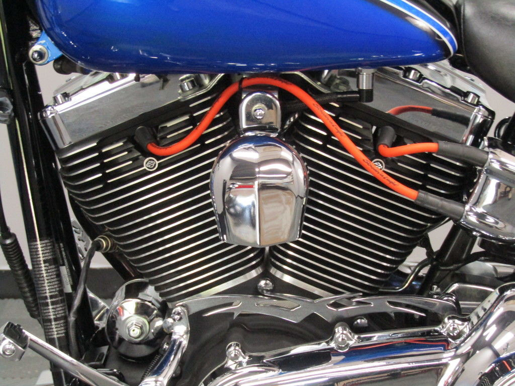 Softail® Custom
