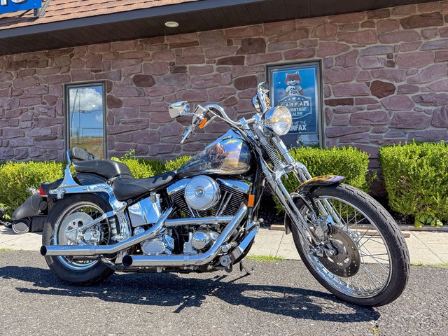 Springer® Softail®
