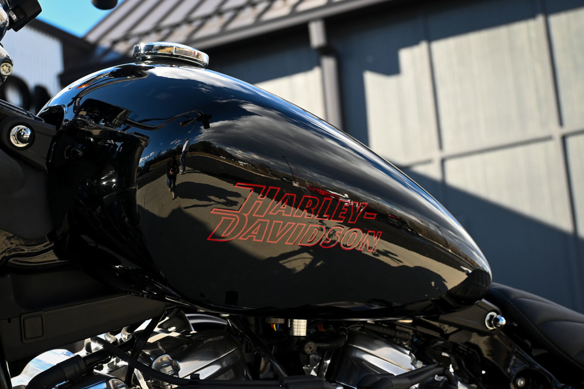Softail® Standard