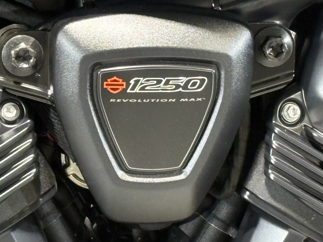 Pan America® 1250 Limited