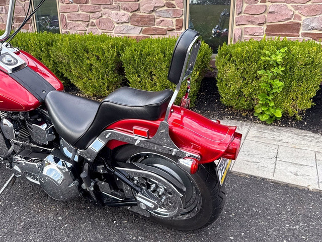Softail® Custom