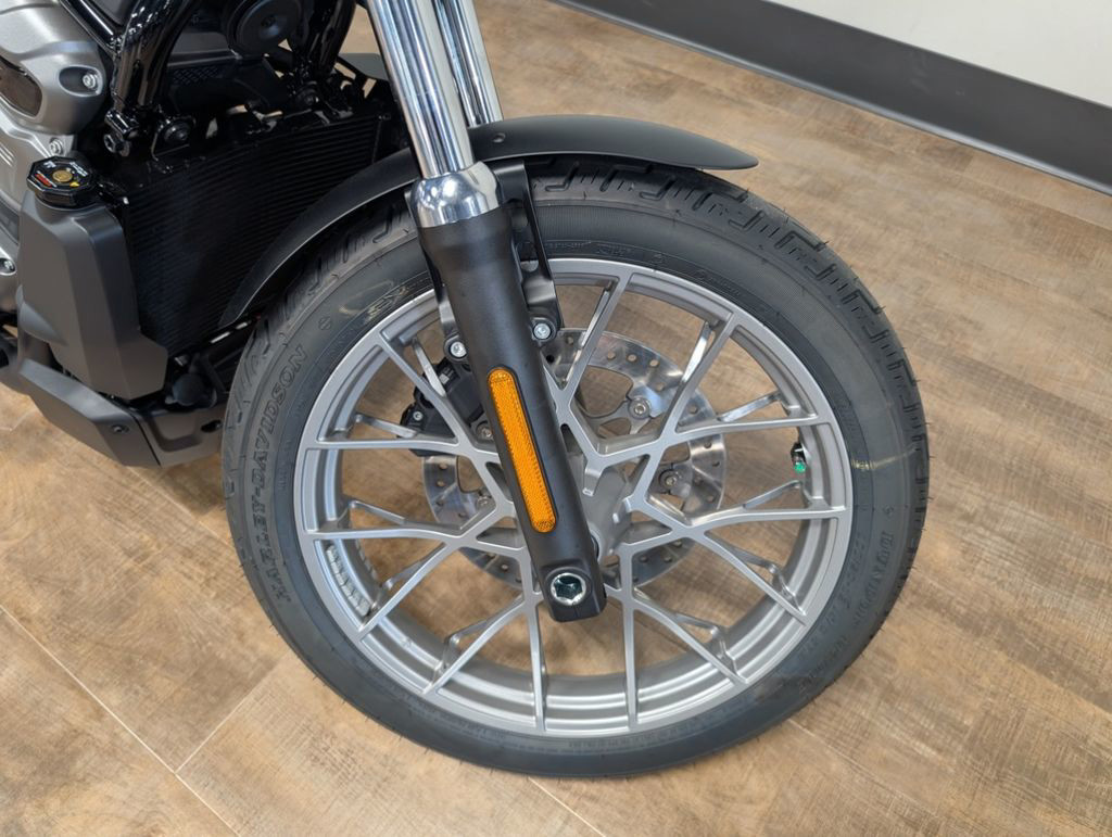 Nightster Special