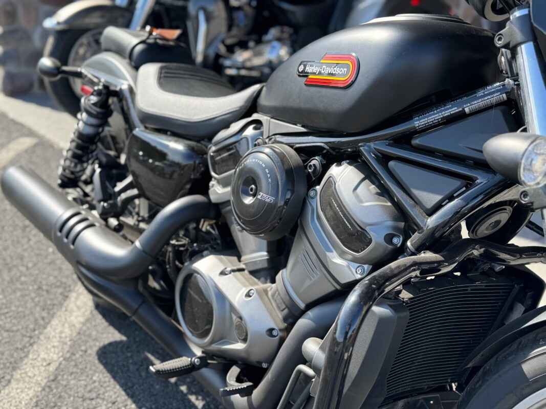 Nightster Special