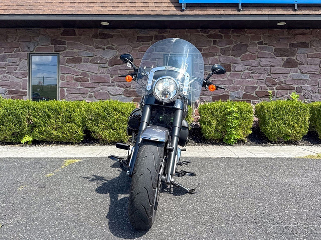Softail® Fat Boy® Lo