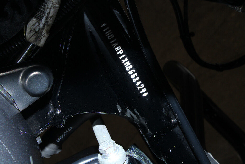 Street Glide® Special