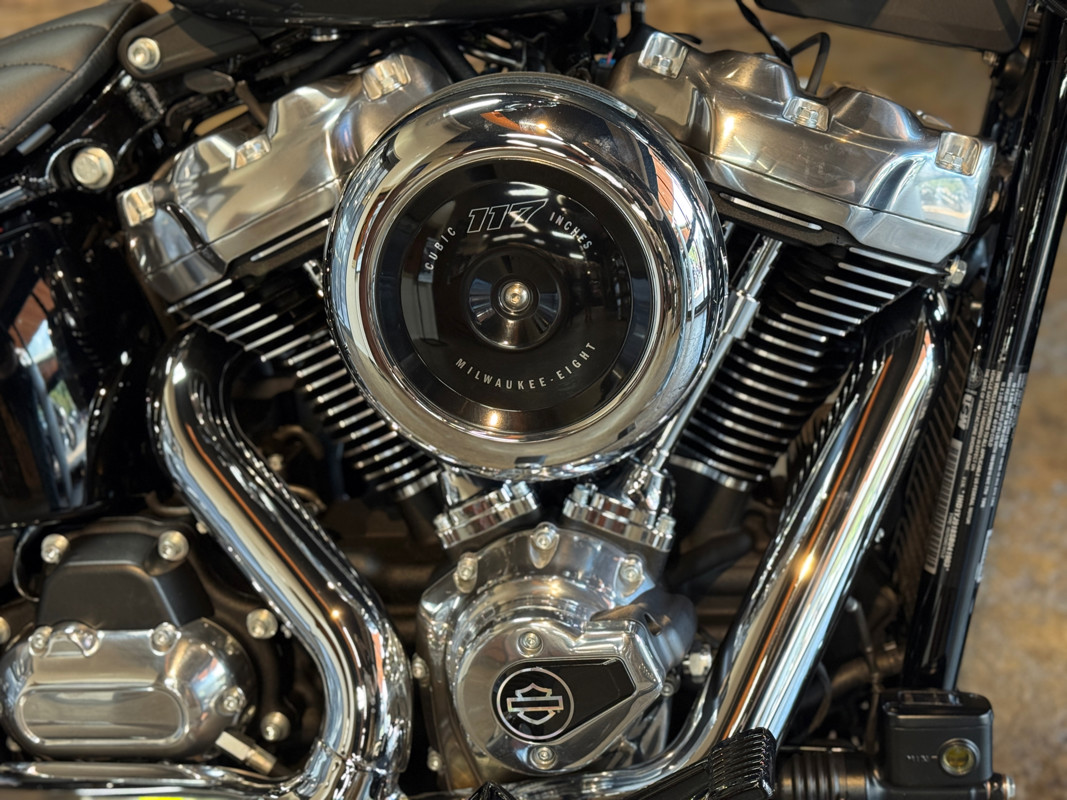 Street Bob®