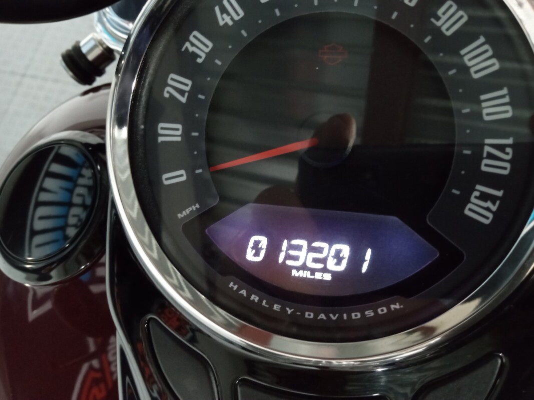 Softail® Slim®