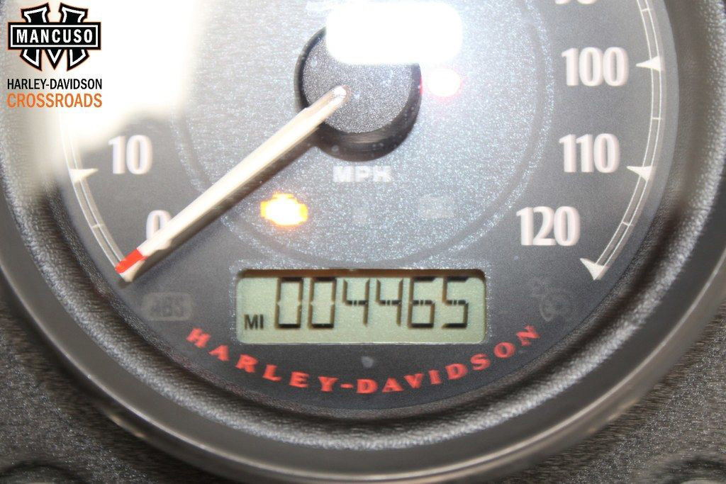 Dyna® Low Rider® S