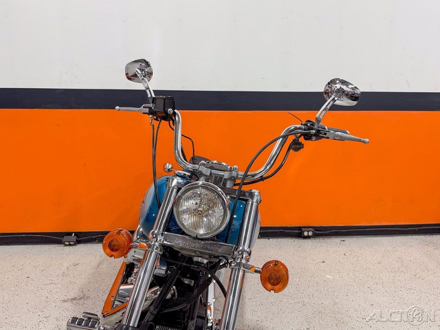 Softail® Custom