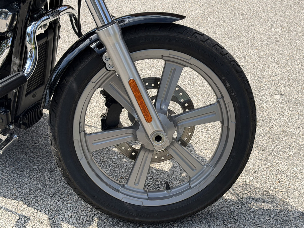 Softail® Standard