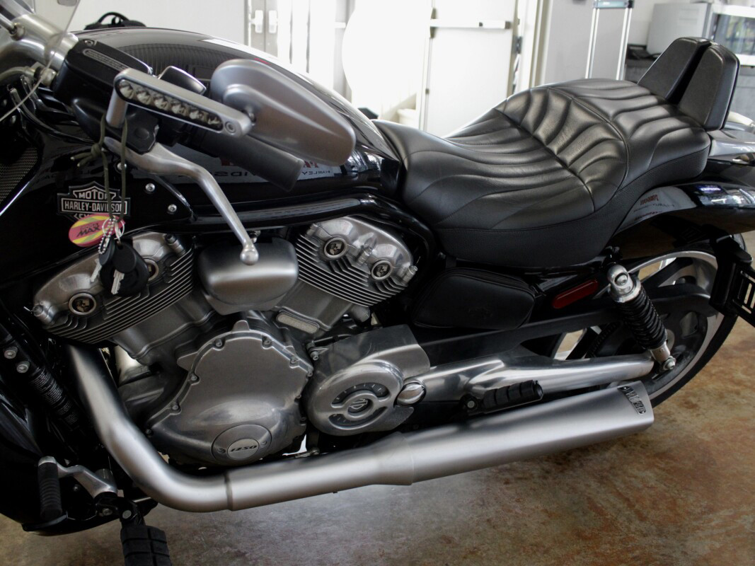 V-Rod® Muscle