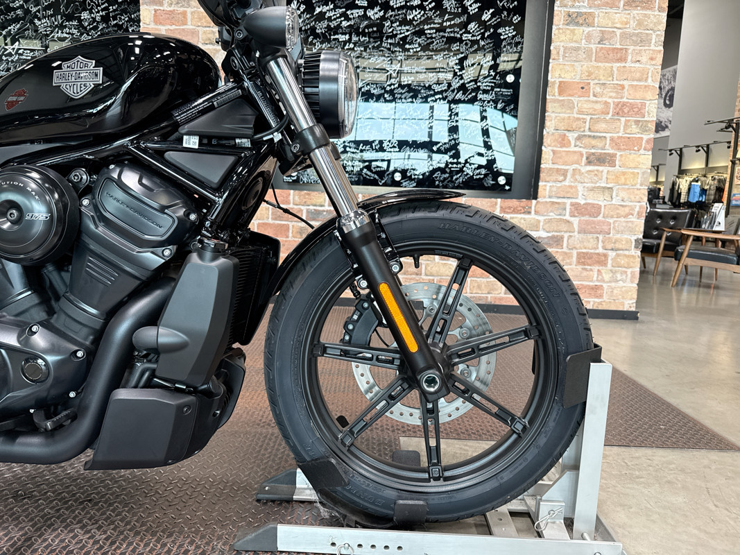 Nightster