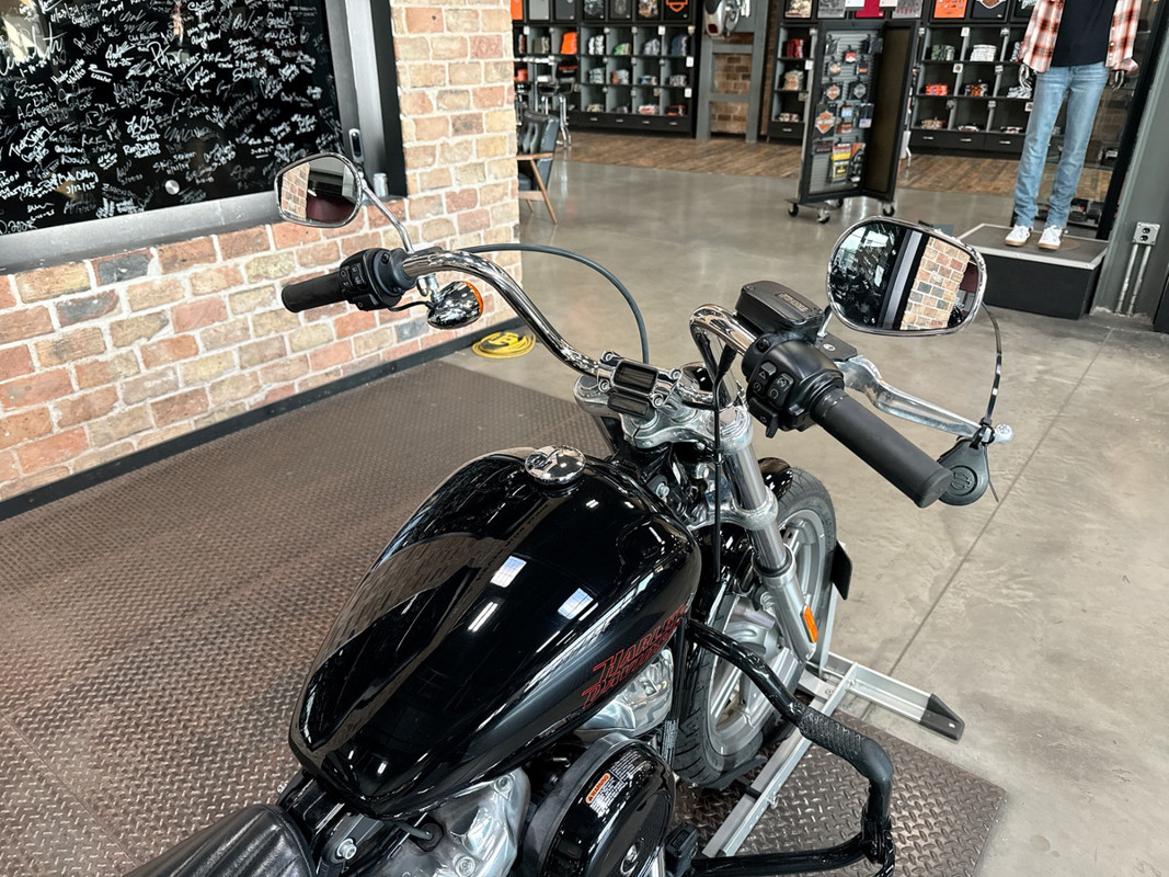 Softail® Standard