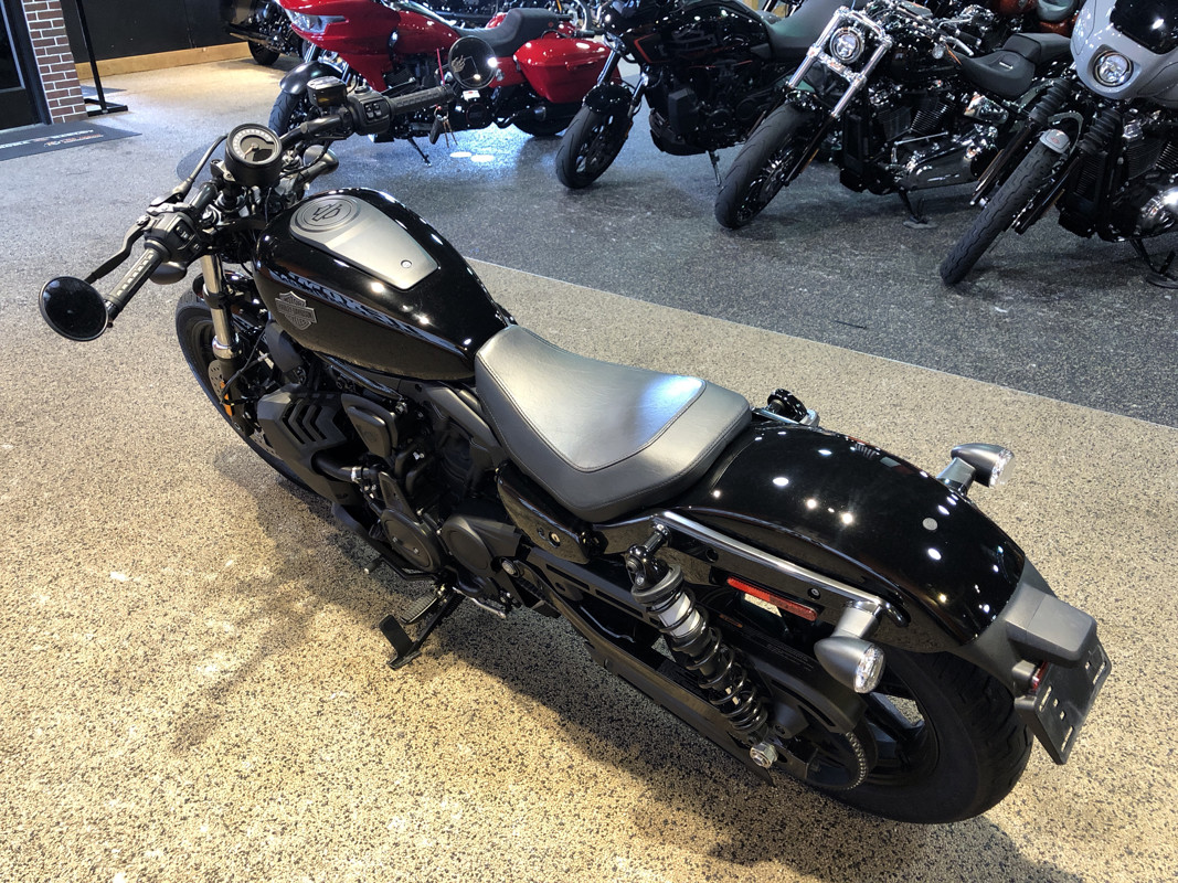 Nightster