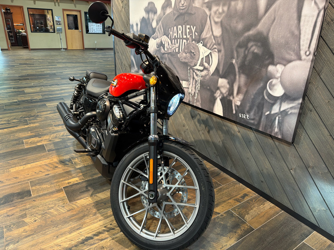 Nightster Special