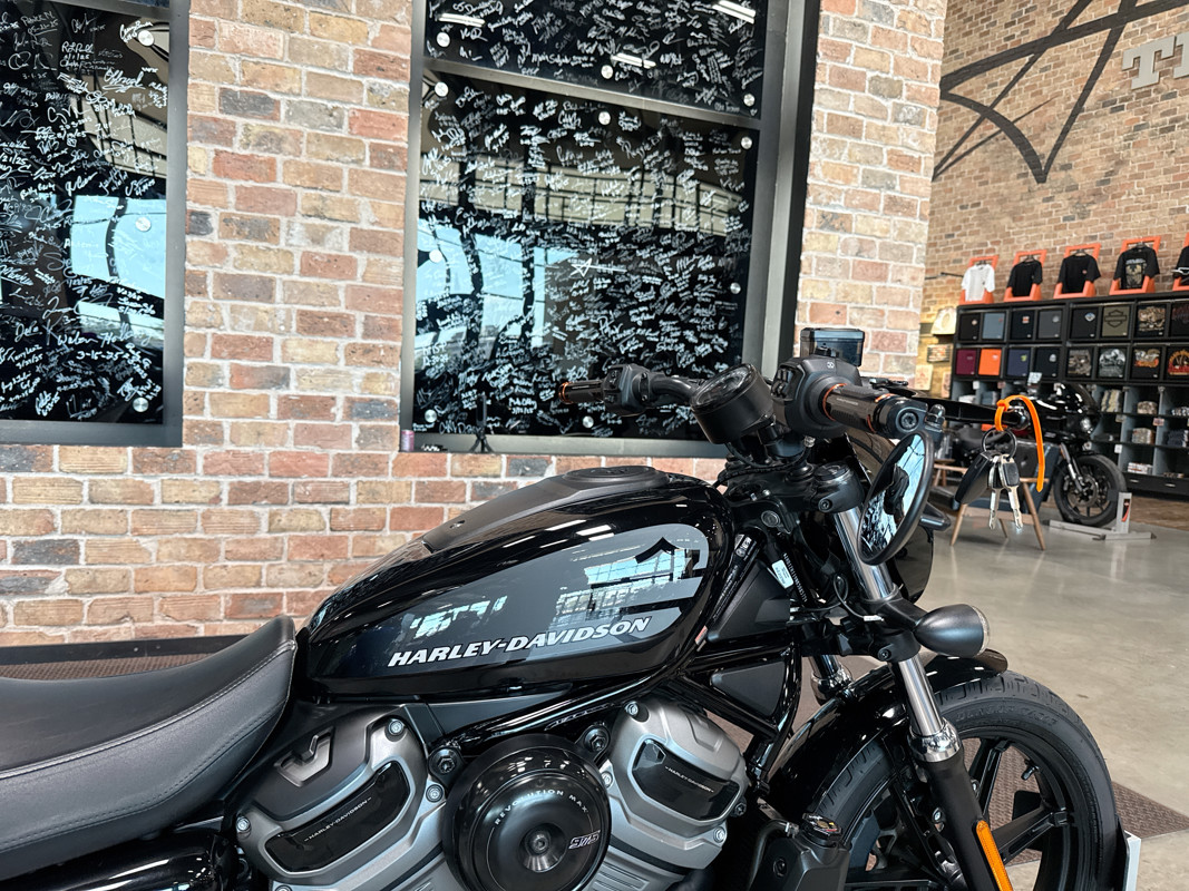 Nightster