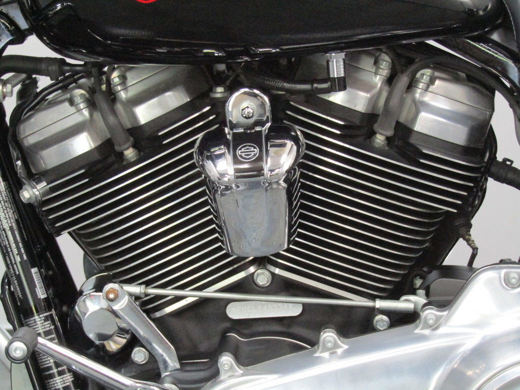 Electra Glide® Standard