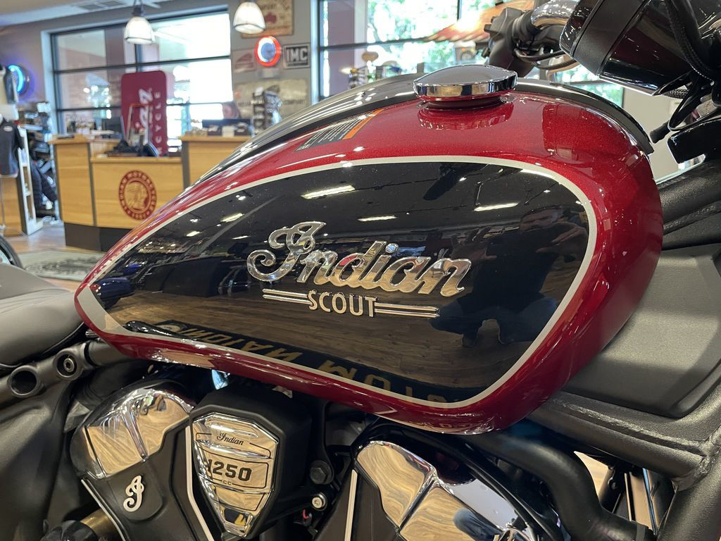 Scout Classic Limited