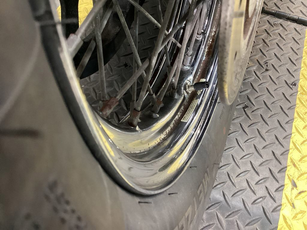 Softail® Standard