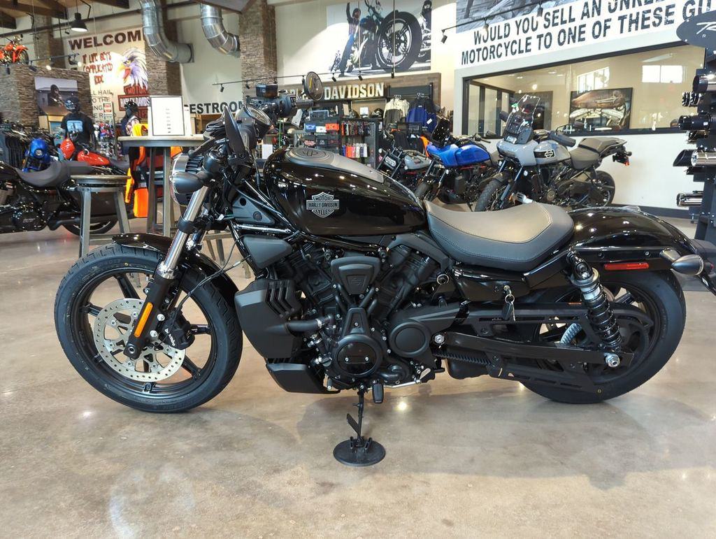 Nightster