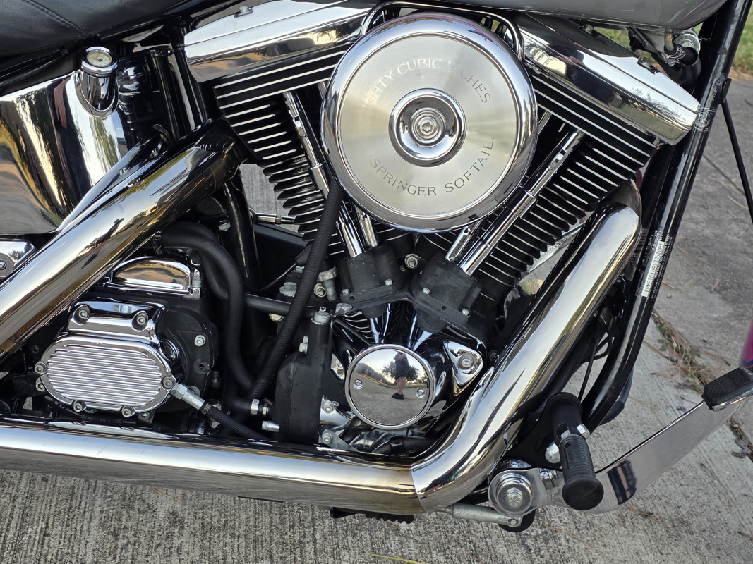 Springer® Softail®