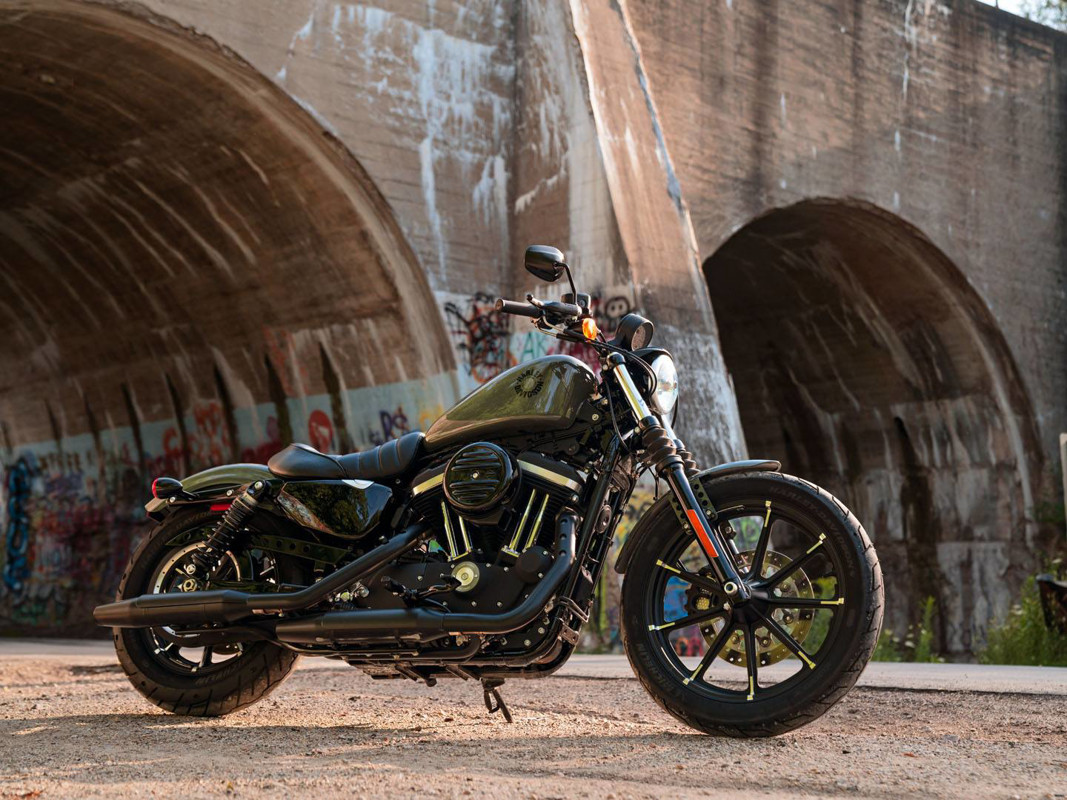 Iron 883®