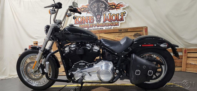 Softail® Standard