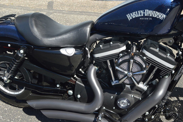 Sportster® Iron 883®