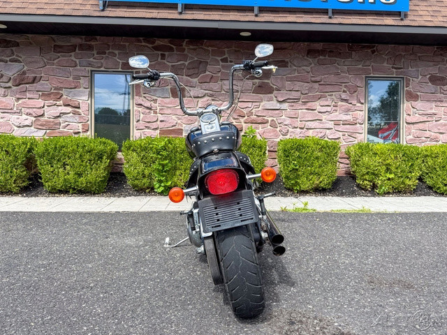 Softail® Springer® Classic