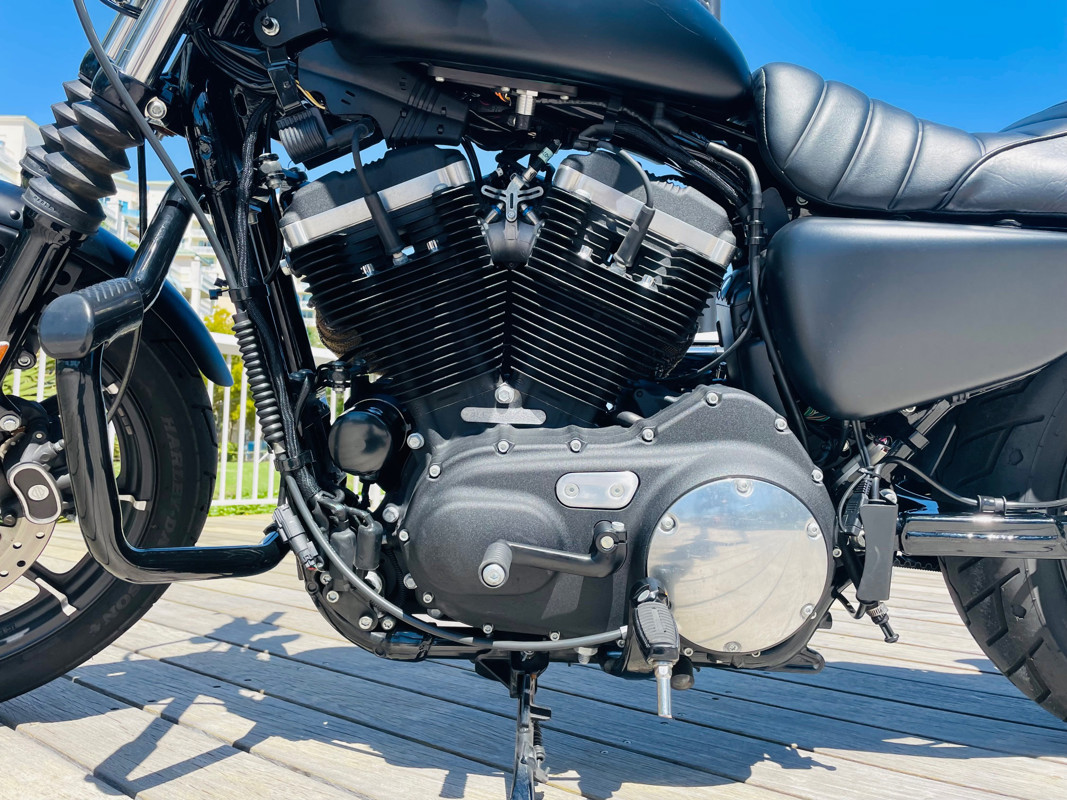 Iron 883®