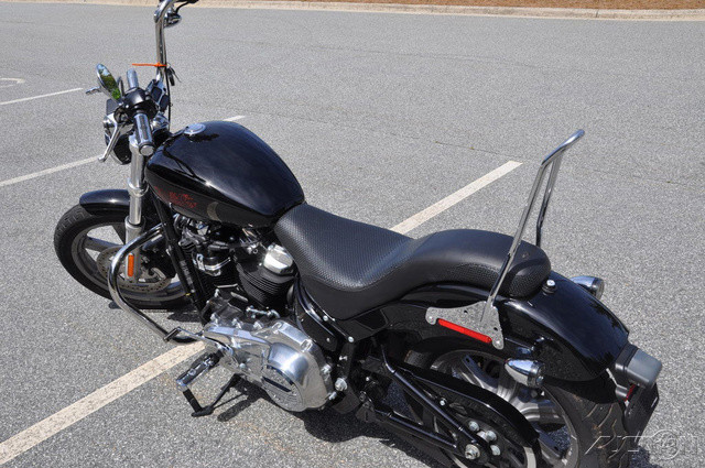 Softail® Standard