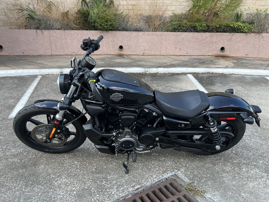 Nightster