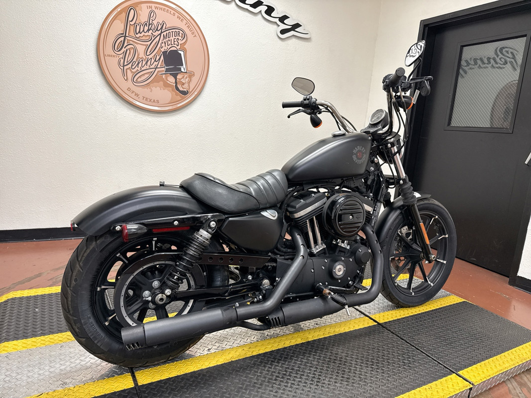 Iron 883®