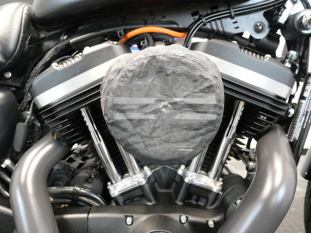 Sportster® Iron 883®