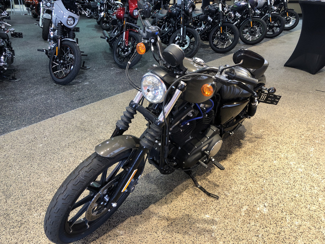 Sportster® Iron 883®