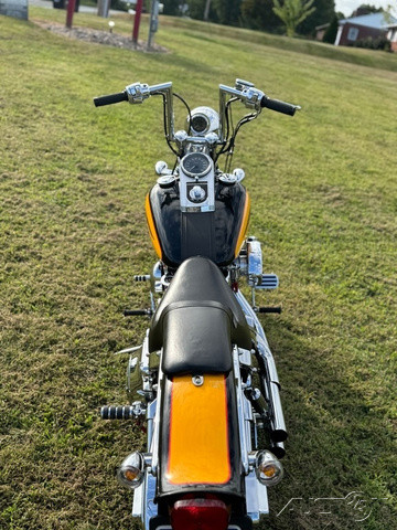 Softail® Springer® 
