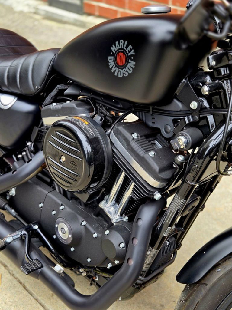 Iron 883®